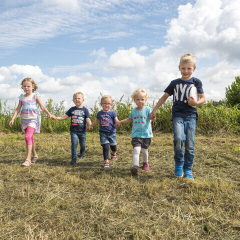 Das Bild zeigt fünf Kinder, die sich an einer Reihe an der Hand halten auf einer Grasfläche, Foto von Schöning Fotodesign